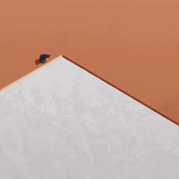 simple cat painting