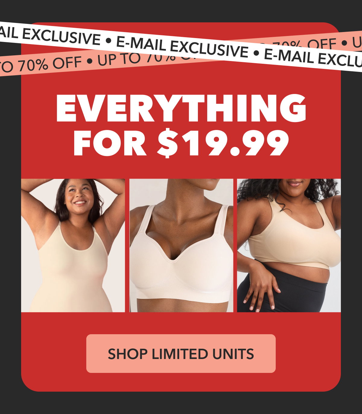 EVERYTHING FOR $19.99