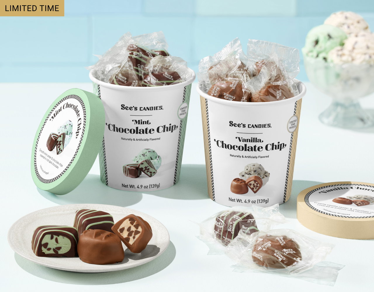Limited Time | See's Candies | Mint Chocoloate Chip | Vanilla Chocolate Chip