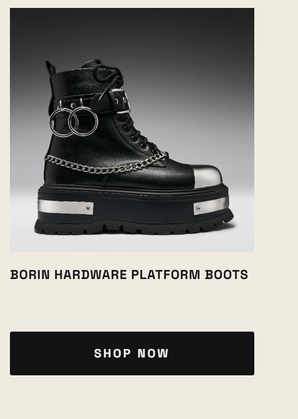 Borin Hardware Platform Boots