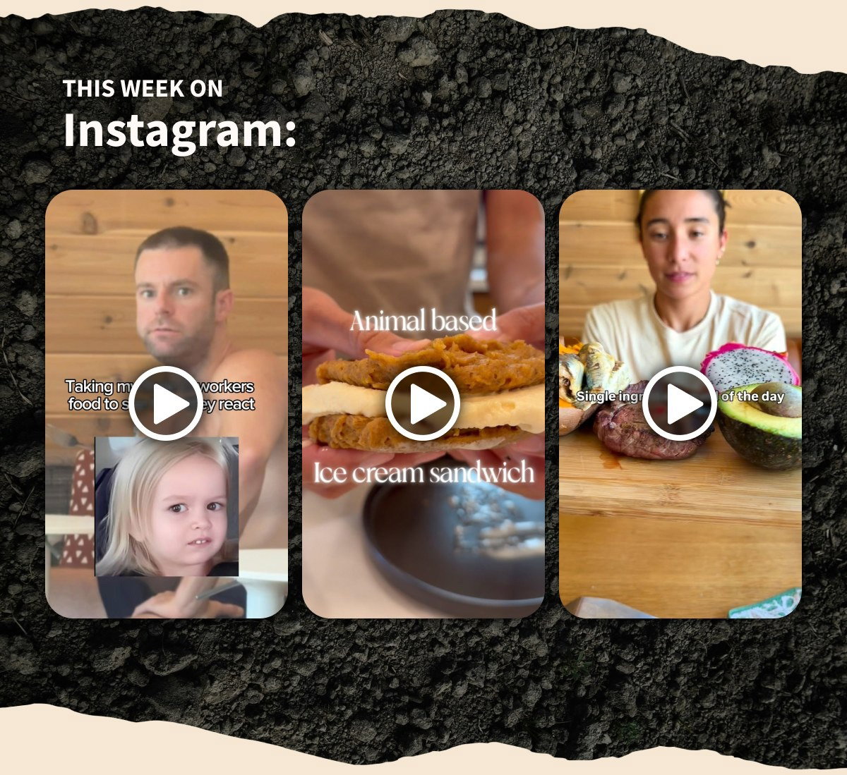 THIS WEEK ON Instagram:  Taking my coworkers food to see how they react Animal based Ice cream sandwich Single ingredient of the day  The 7 Best Brain Foods For Better Mood & Memory  [[Learn More]]
