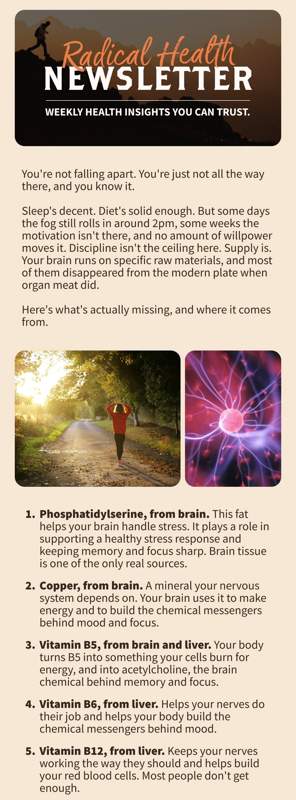 Radical Health NEWSLETTER WEEKLY HEALTH INSIGHTS YOU CAN TRUST.  You're not falling apart. You're just not all the way there, and you know it.  Sleep's decent. Diet's solid enough. But some days the fog still rolls in around 2pm, some weeks the motivation isn't there, and no amount of willpower moves it. Discipline isn't the ceiling here. Supply is. Your brain runs on specific raw materials, and most of them disappeared from the modern plate when organ meat did.  Here's what's actually missing, and where it comes from.  Phosphatidylserine, from brain. This fat helps your brain handle stress. It plays a role in supporting a healthy stress response and keeping memory and focus sharp. Brain tissue is one of the only real sources. Copper, from brain. A mineral your nervous system depends on. Your brain uses it to make energy and to build the chemical messengers behind mood and focus. Vitamin B5, from brain and liver. Your body turns B5 into something your cells burn for energy, and into acetylcholine, the brain chemical behind memory and focus. Vitamin B6, from liver. Helps your nerves do their job and helps your body build the chemical messengers behind mood. Vitamin B12, from liver. Keeps your nerves working the way they should and helps build your red blood cells. Most people don't get enough. Fatty acids, from bone marrow and suet. These help support energy and blood sugar levels already within a healthy range. Steady blood sugar means a steadier mood. Brain health isn't only about the brain.  None of this is missing by accident. It's just missing from the plate.