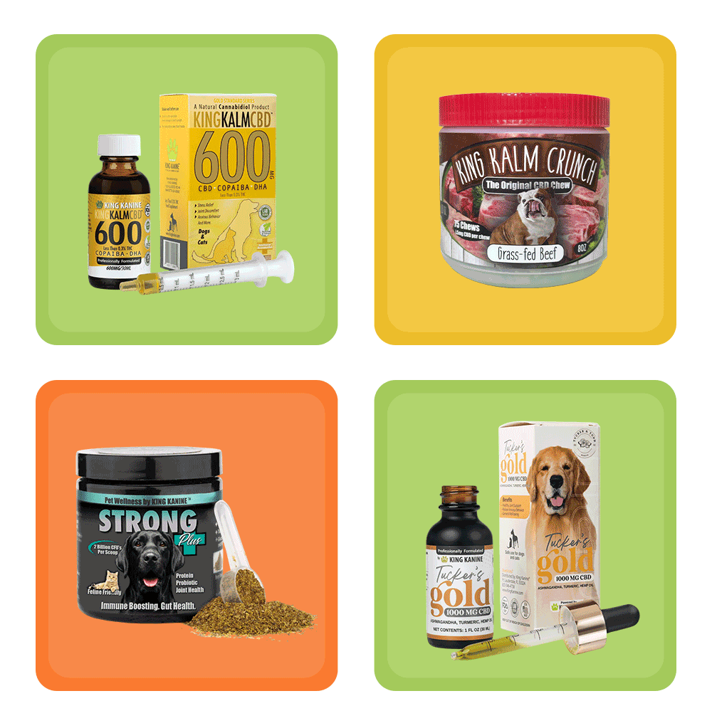 National Dog Day Sale