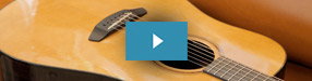 What's New from Breedlove Guitars?