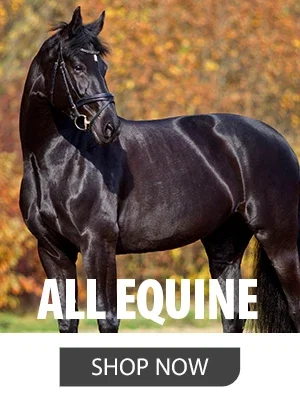 SHOP EQUINE RX