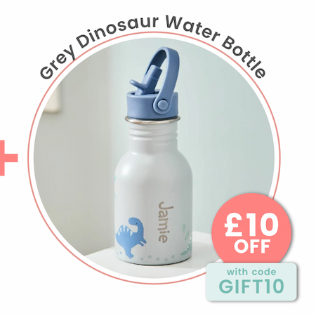 Personalised Grey Dinosaur 350ml Water Bottle