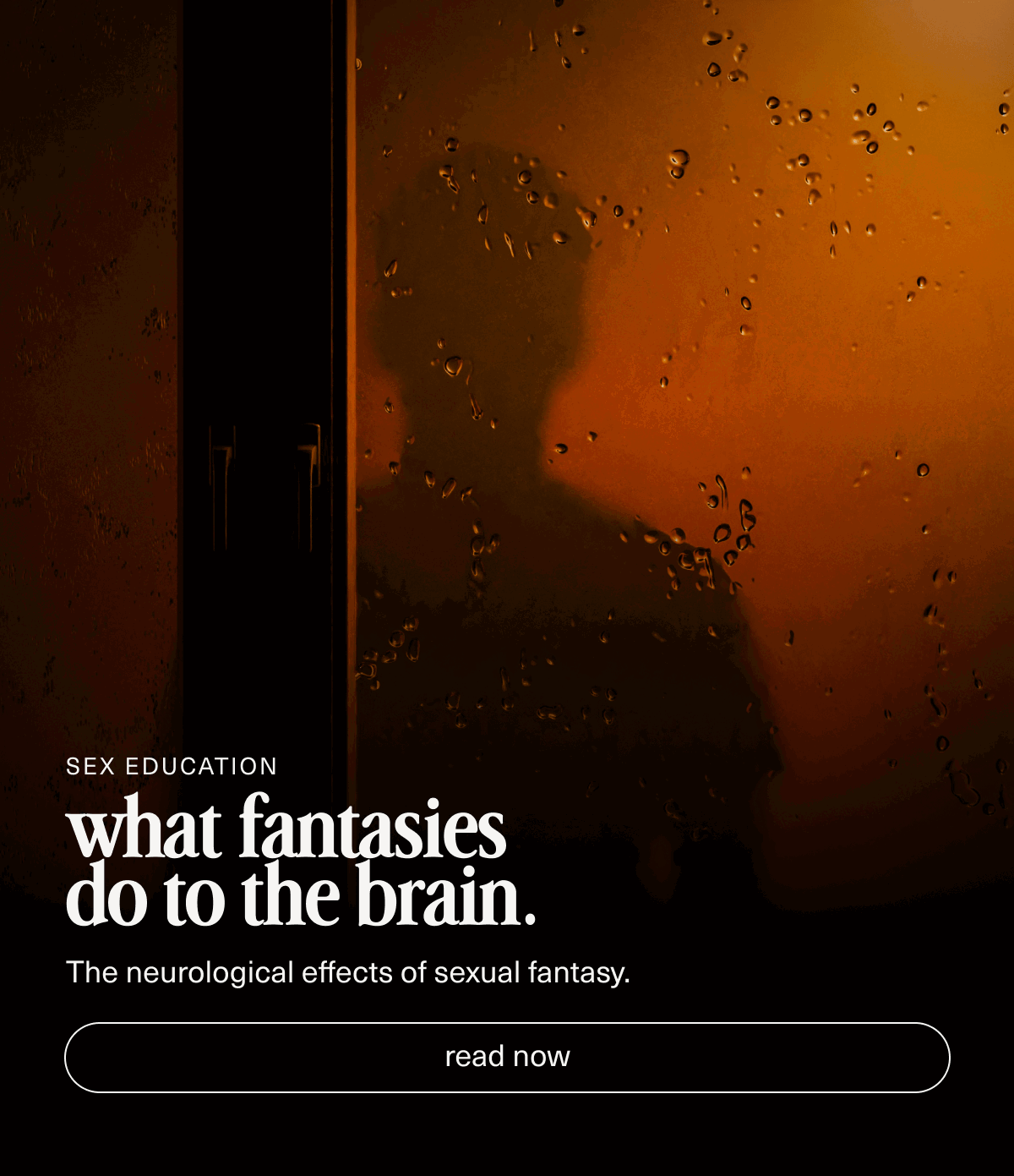 Sex Education | what fantasies do to the brain. | The neurological effects of sexual fantasy. | [ read now ]