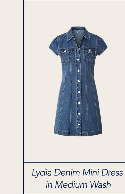 Lydia Denim Mini Dress