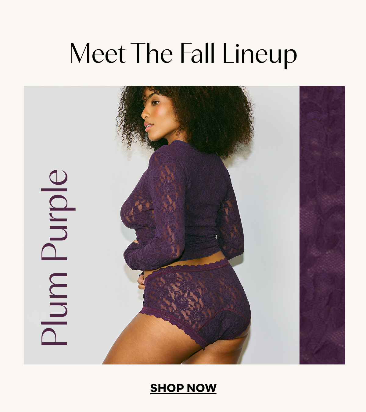 Plum Purple - Shop Now