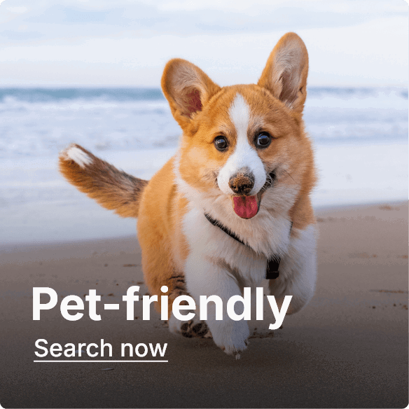 Pet-friendly