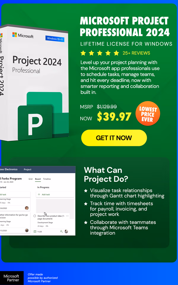 Microsoft Project Professional 2024: Lifetime License for Windows