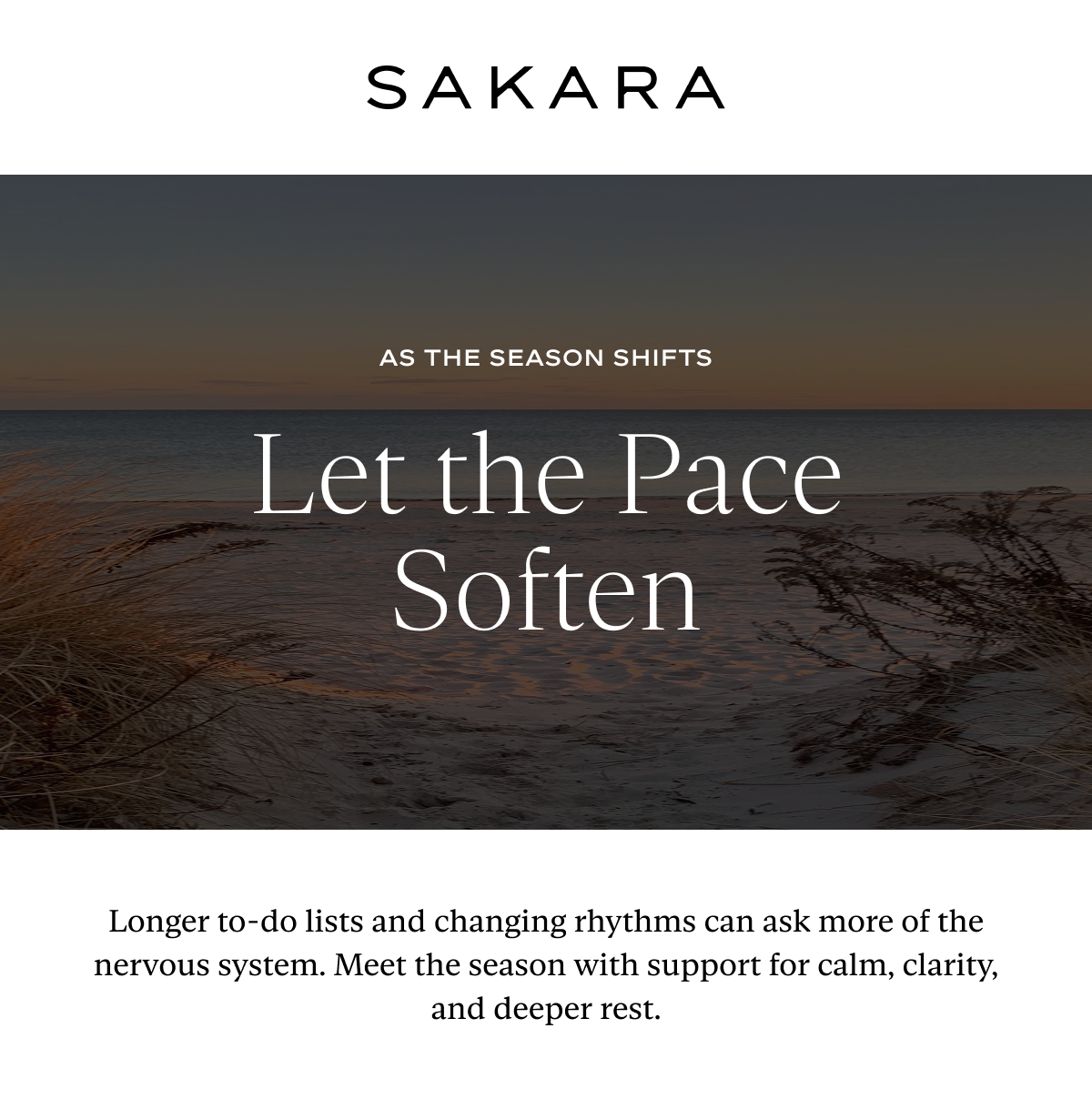 Let the Pace Soften: Longer to-do lists and changing rhythms can ask more of the nervous system. Meet the season with support for calm, clarity, and deeper rest.