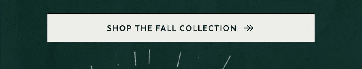 Shop The Fall Collection