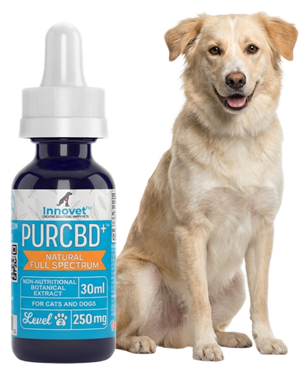 PurCBD Oil 250mg