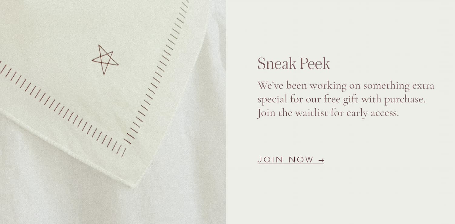 Sneak Peak: Join the Waitlist