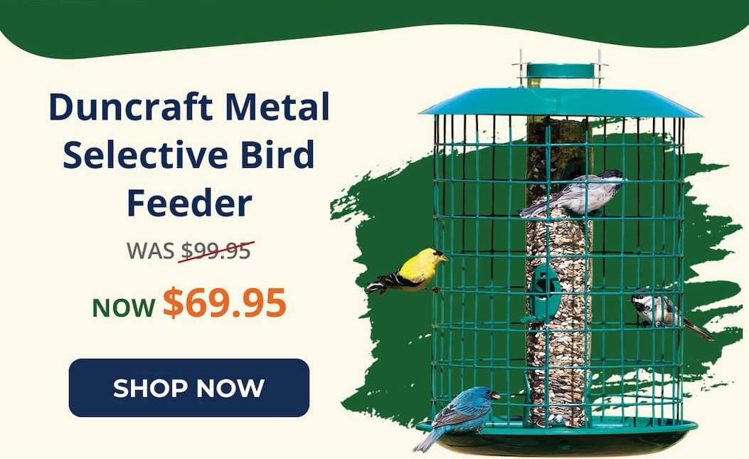Duncraft Metal Selective Bird Feeder