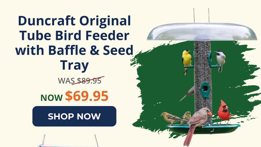 Duncraft Original Tube Bird Feeder with Baffle & Seed Tray