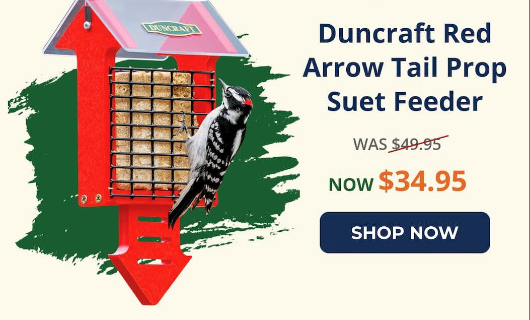 Duncraft Red Arrow Tail Prop Suet Feeder