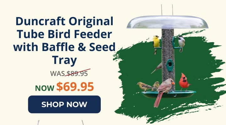 Duncraft Original Tube Bird Feeder with Baffle & Seed Tray