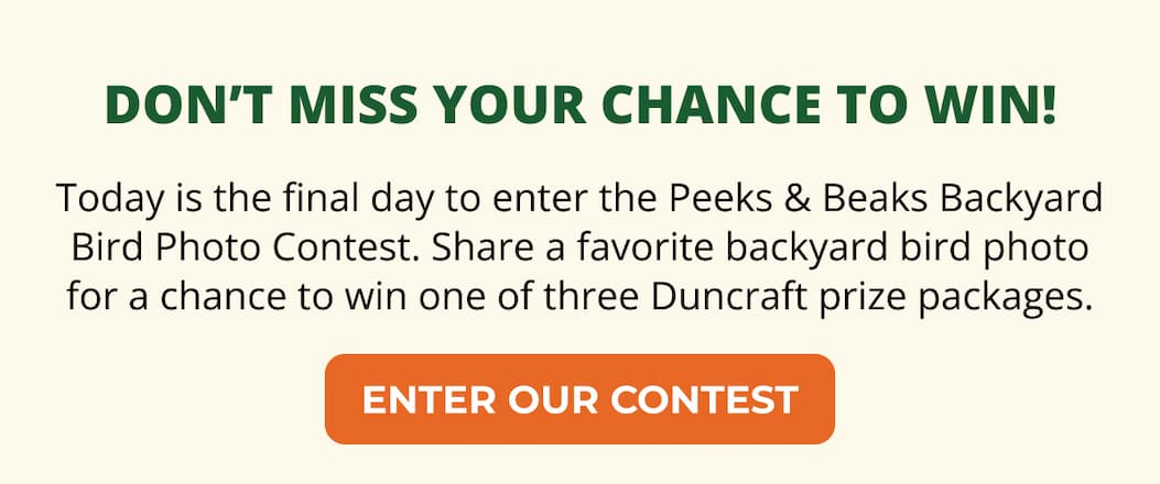 ENTER OUR CONTEST