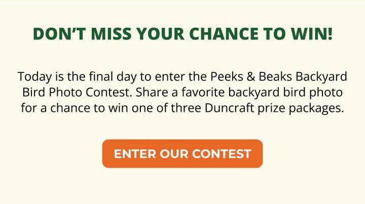 ENTER OUR CONTEST
