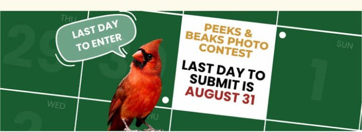 Last day to enter