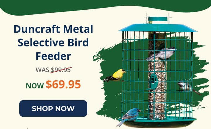 Duncraft Metal Selective Bird Feeder
