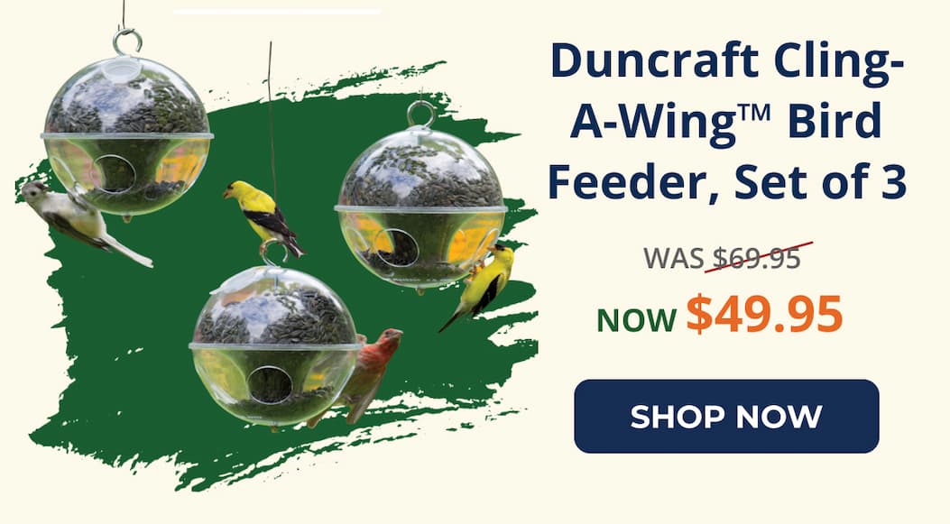 Duncraft Cling-A-Wing™ Bird Feeder, Set of 3