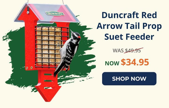 Duncraft Red Arrow Tail Prop Suet Feeder
