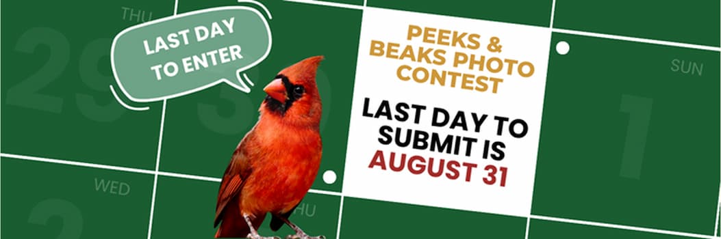 Last day to enter