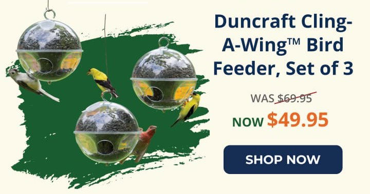 Duncraft Cling-A-Wing™ Bird Feeder, Set of 3