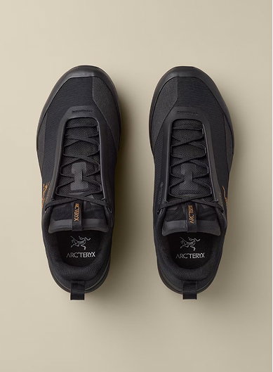Kopec 2 Low GTX Shoe