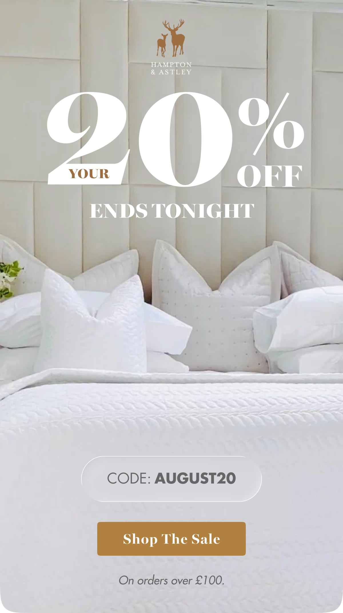 Shop The Sale