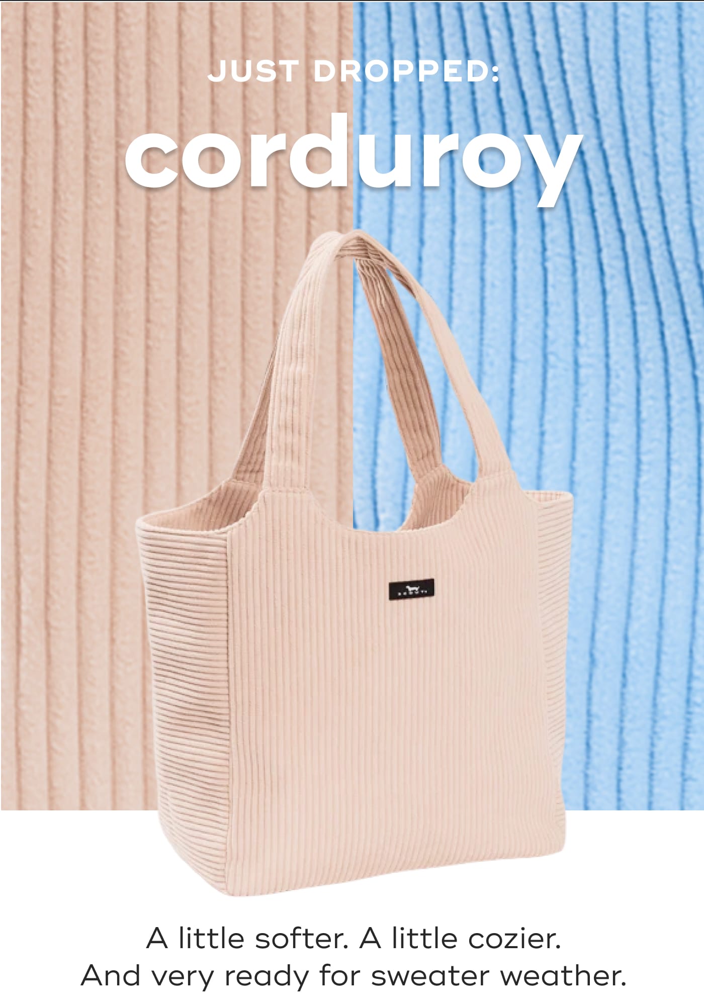 JUST DROPPED: corduroy. A little softer. A little cozier. And very ready for sweater weather.