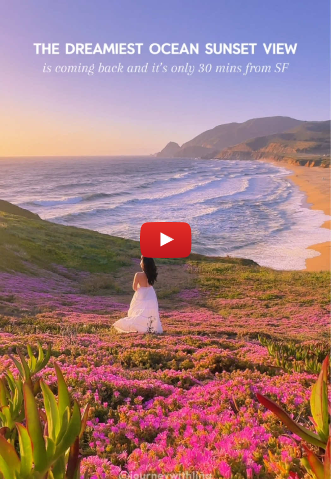 This dreamy view of this beautiful sunset and purple carpet is coming back! I visited last year toward the end of the season, but if you’re planning a visit—mid May to early June is the sweet spot to catch it in full bloom. There’s something magical about watching the sunset here… A serene golden hour overlooking the Pacific Ocean, surrounded by a sea of blooming purole. Just 30 minutes from San Francisco, but it feels like another world. 📍Montara State Beach ✨ Save this reel for your planning 🌸 Ice plant bloom (non-native and invasive species) typically peaks mid May to early June 🅿️ Two small parking lots—usually not too crowded 🥾 A short uphill walk to the spot, wear sturdy shoes 🩷 Follow the small dirt path and stay on it to protect the plants 🌊 Only 15 mins from Half Moon Bay—perfect to pair with a coastal day trip 🍲 Grab a bowl of clam chowder at the iconic @samschowderhouse after your visit! 📹 This video was taken on 6/15/2024, right at the tail end of the bloom. Hi, I’m Lina. I share fun activities, unique stays, and itineraries to help with your next trip. Follow me for more travel inspo! Copyrighted content ©️ no repost! Contact for licensing