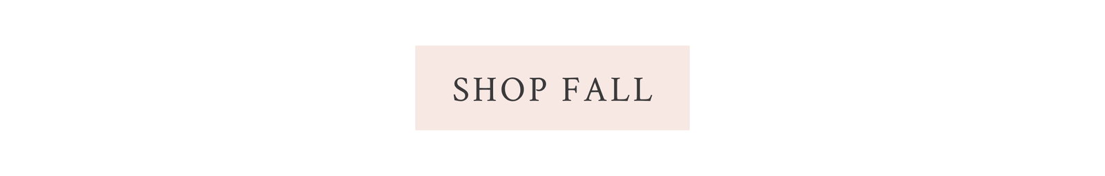 <SHOP FALL>