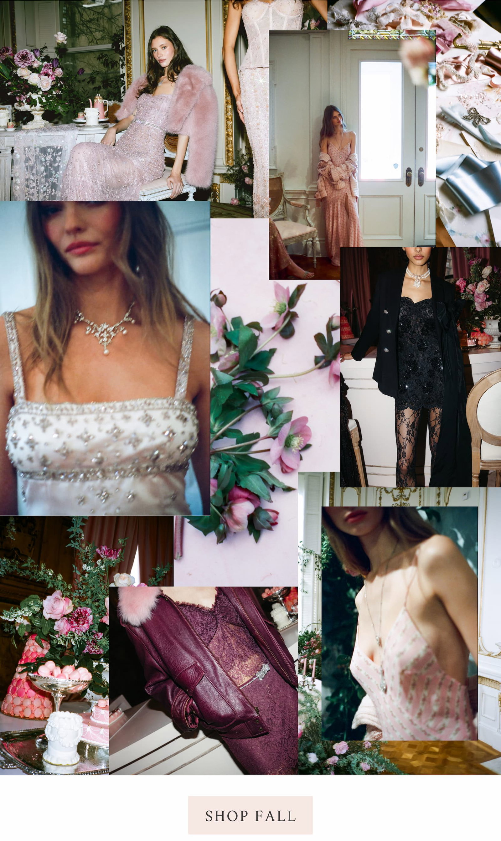 <SHOP FALL>