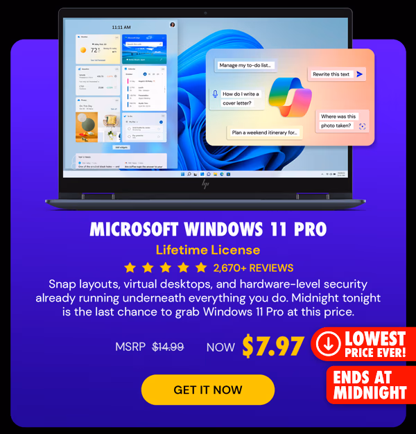 Microsoft Windows 11 Pro
