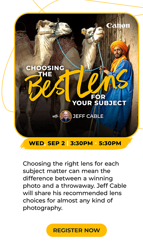 Choosing The Best Lens For Your Subject