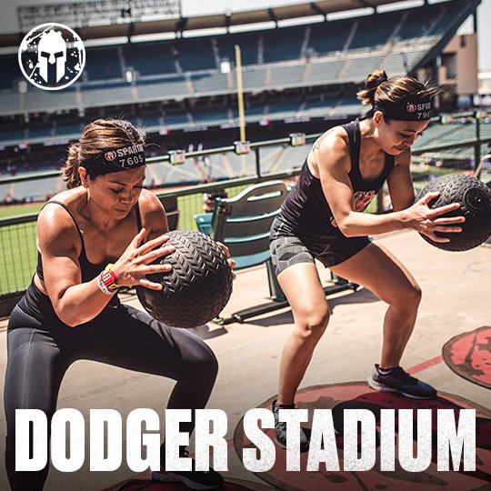 dodger