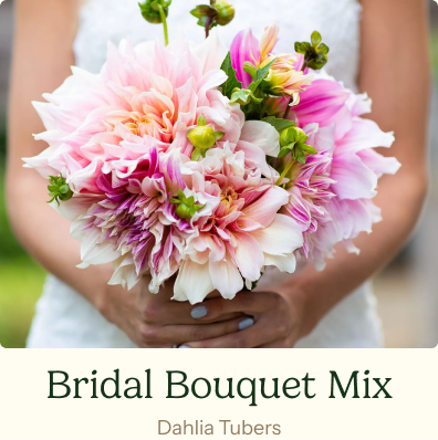 Bridal Bouquet Mix