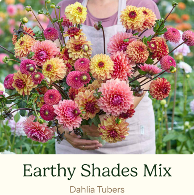 Earthy Shades Mix
