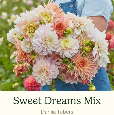 Sweet Dreams Mix