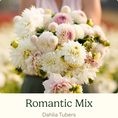 Romantic Mix
