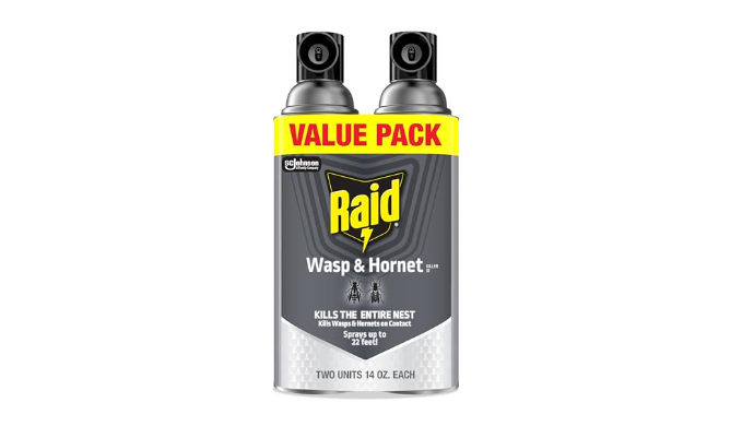 Raid Wasp & Hornet Killer Bug Spray