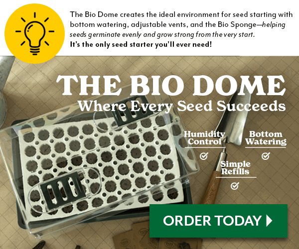 The Bio Dome - Where Every Seed Succeeds