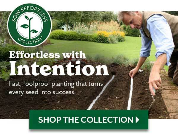 Effortless with Intention Fast foolproog planting that turns every seed into success