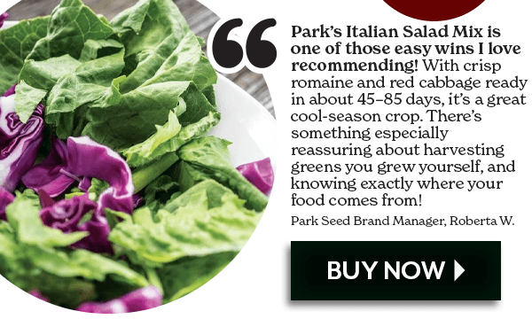Park's Italian Salad Mix Seeds