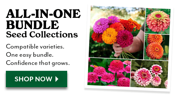 Exclusive Seed Bundles