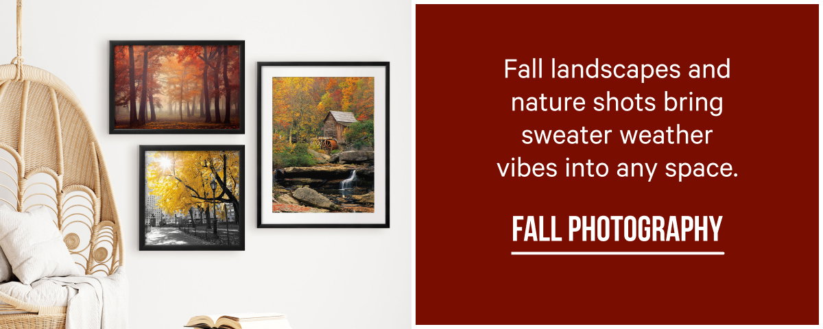 Fall Photography